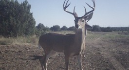Home Page Image #3: Unnamed 8-point